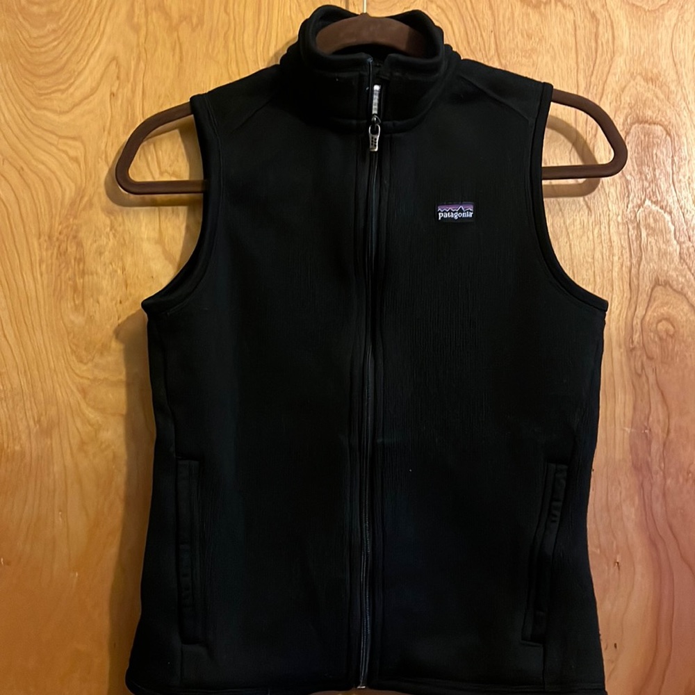 Patagonia sweater Vest.